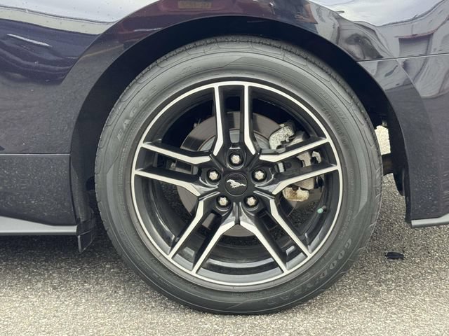 Used 2023 Ford Mustang Coupe w/ Equipment Group 101A RWD image 9