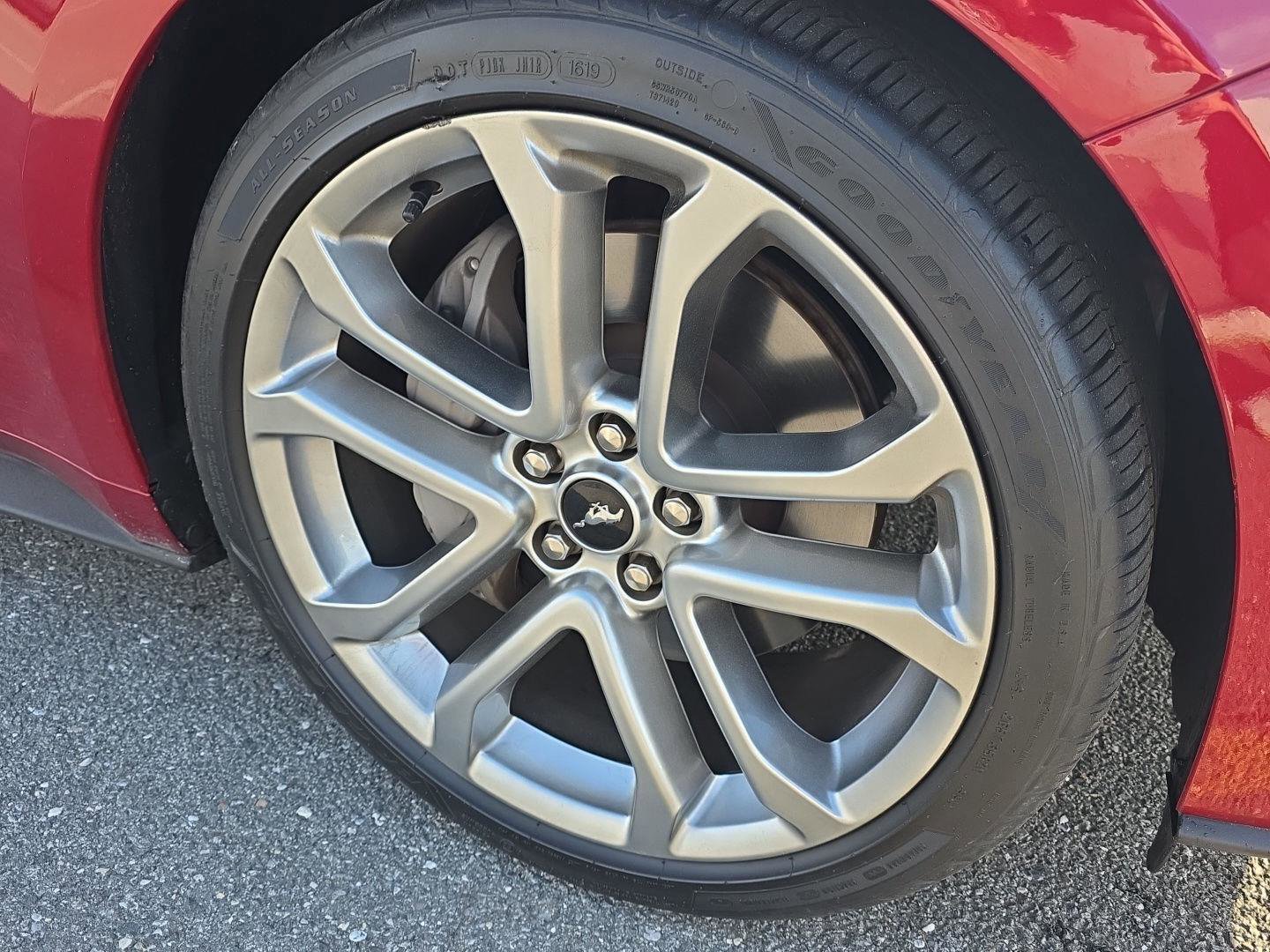 Used 2019 Ford Mustang GT Premium w/ Equipment Group 401A RWD image 8