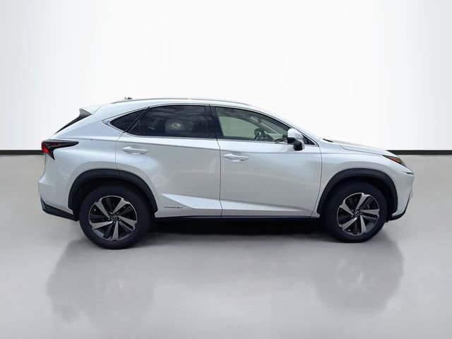 Used 2020 Lexus NX 300h AWD w/ Premium Package image 7
