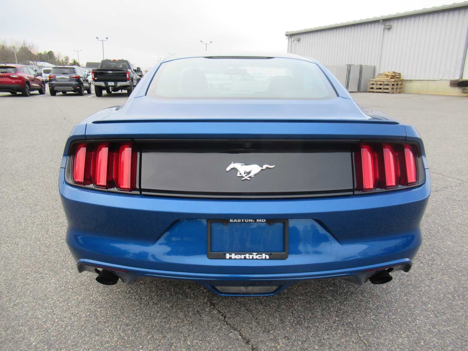 Used 2017 Ford Mustang EcoBoost image 6
