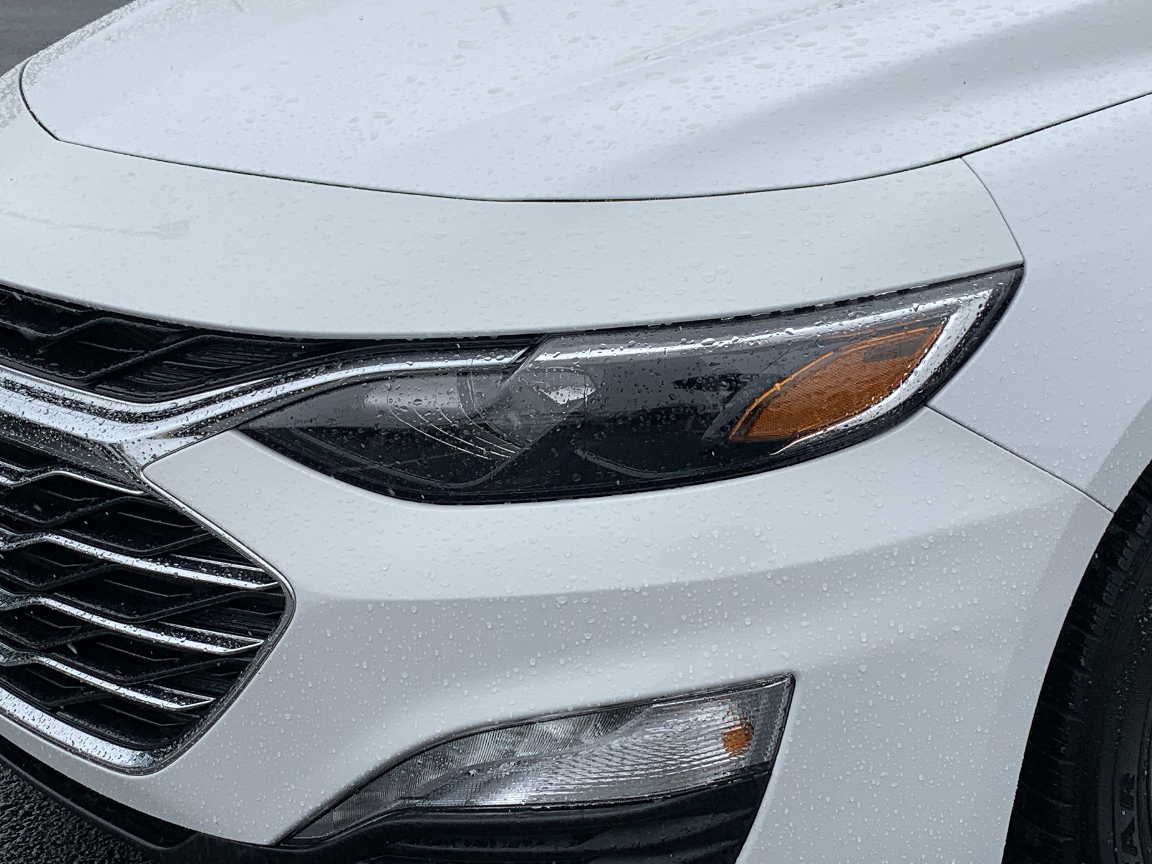 Certified 2024 Chevrolet Malibu LT image 6