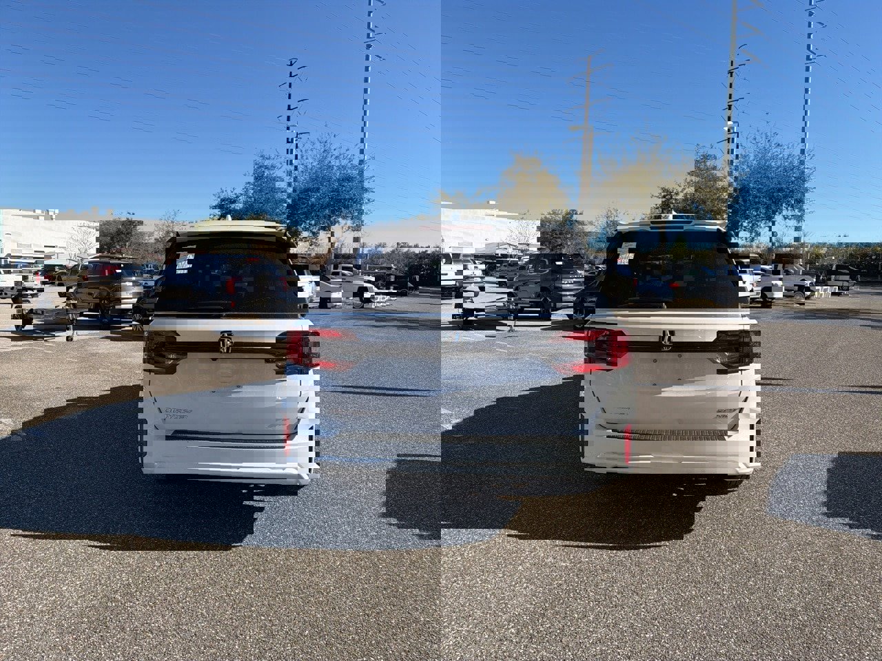 Used 2025 Honda Odyssey Sport-L image 3