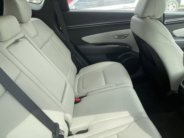 Used 2024 Hyundai Tucson Limited AWD/4WD image 12