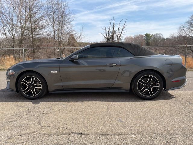 Used 2019 Ford Mustang GT Premium w/ Equipment Group 401A image 6