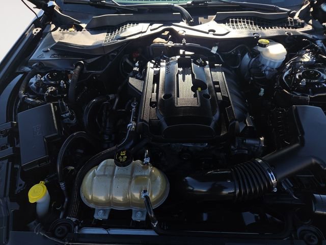 Used 2019 Ford Mustang Premium w/ Equipment Group 201A image 31