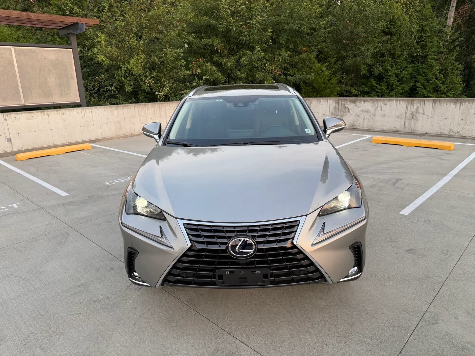 Used 2021 Lexus NX 300h AWD w/ Premium Package image 4