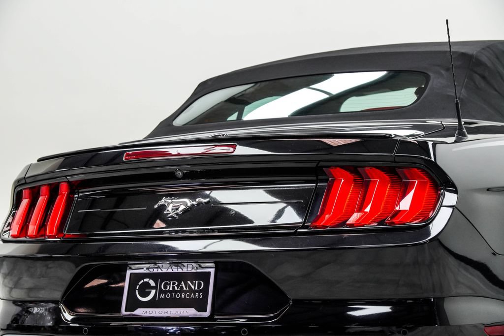 Used 2019 Ford Mustang Premium w/ Equipment Group 201A RWD image 11
