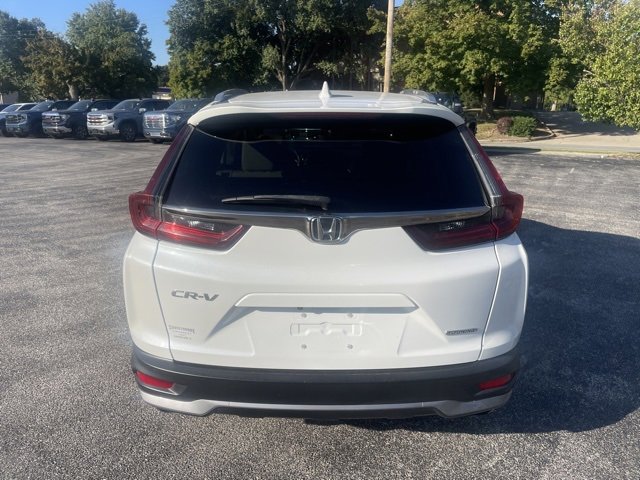 Used 2020 Honda CR-V Touring image 6