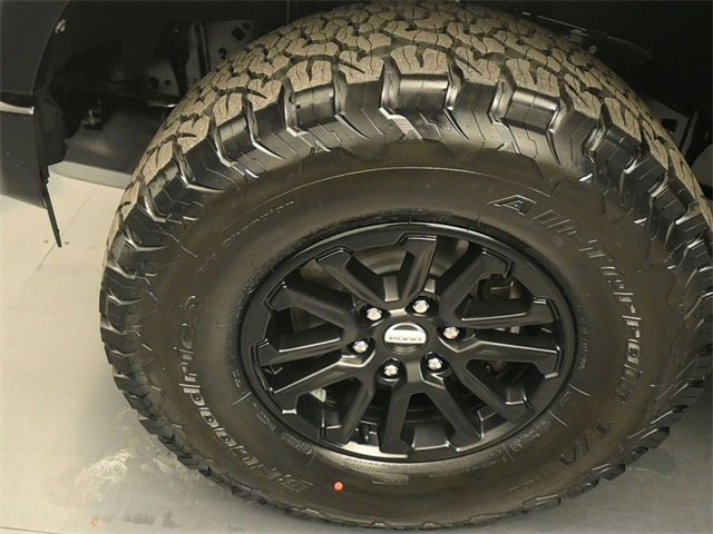 New 2025 Ford F150 Raptor image 16