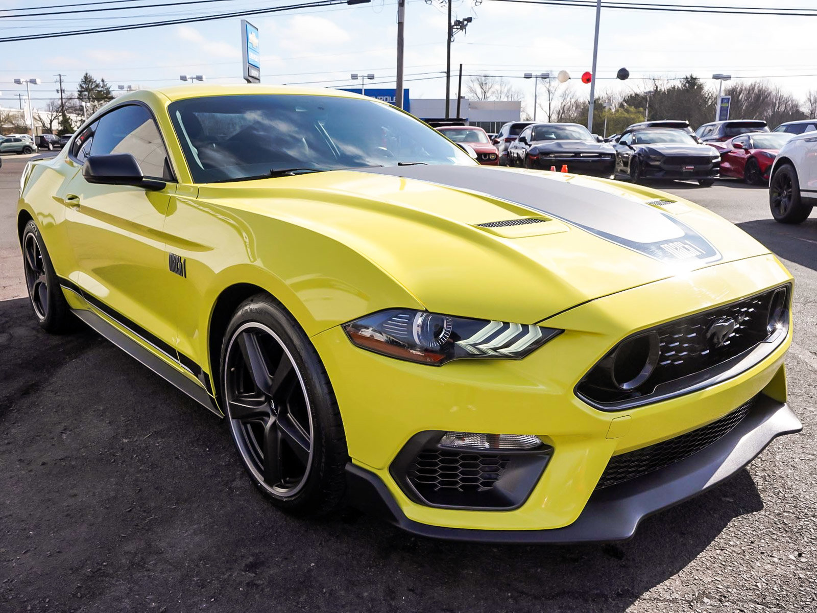 Used 2021 Ford Mustang Mach 1 w/ Equipment Group 700A image 3