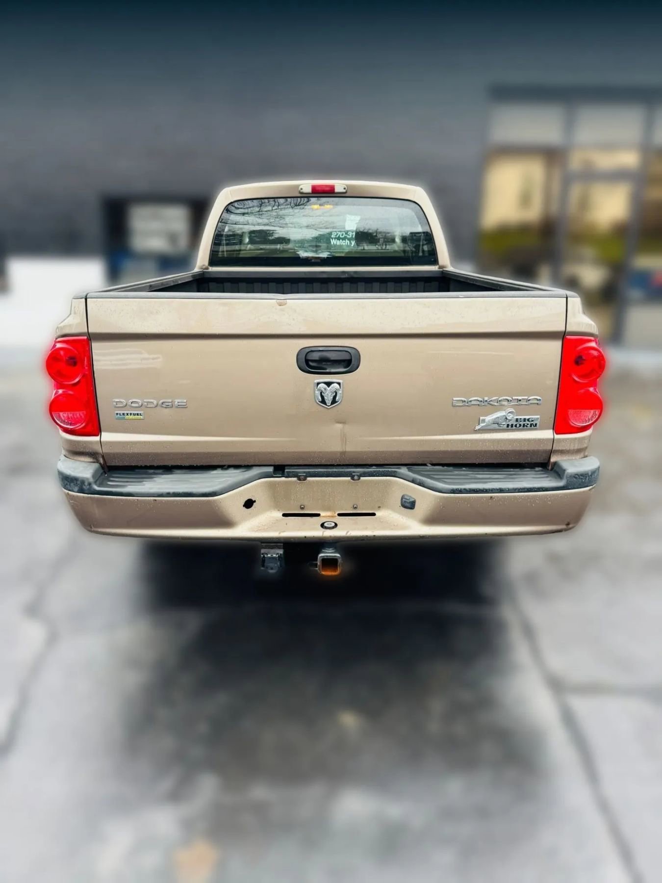 Used 2010 Dodge Dakota Big Horn image 4