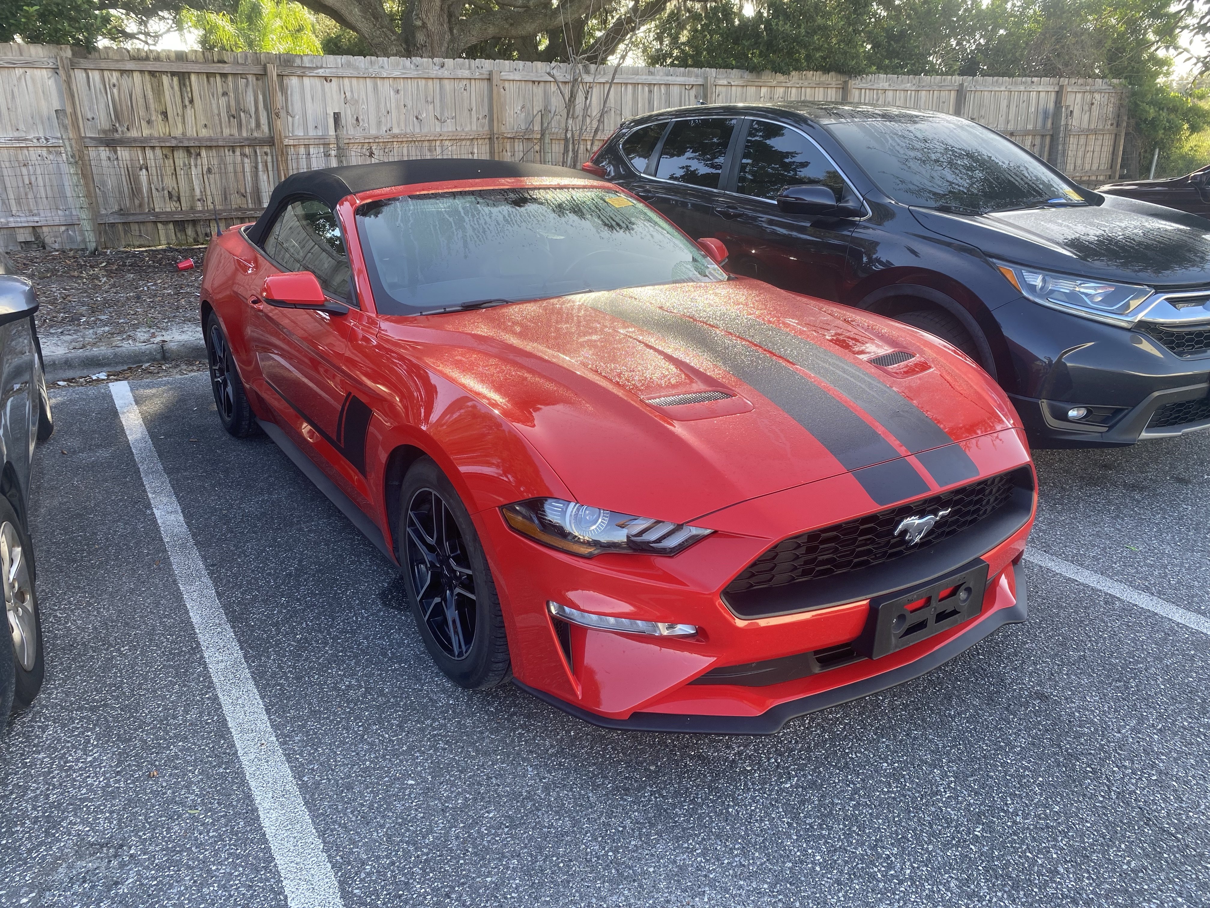 Used 2018 Ford Mustang Premium w/ Equipment Group 201A RWD image 15