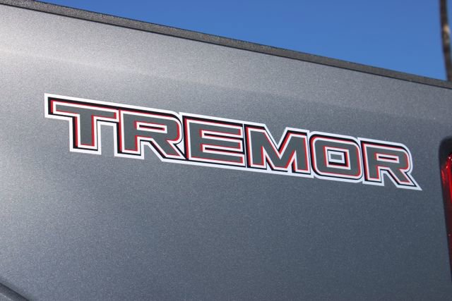 Used 2022 Ford F250 Platinum w/ Tremor Off-Road Package image 19