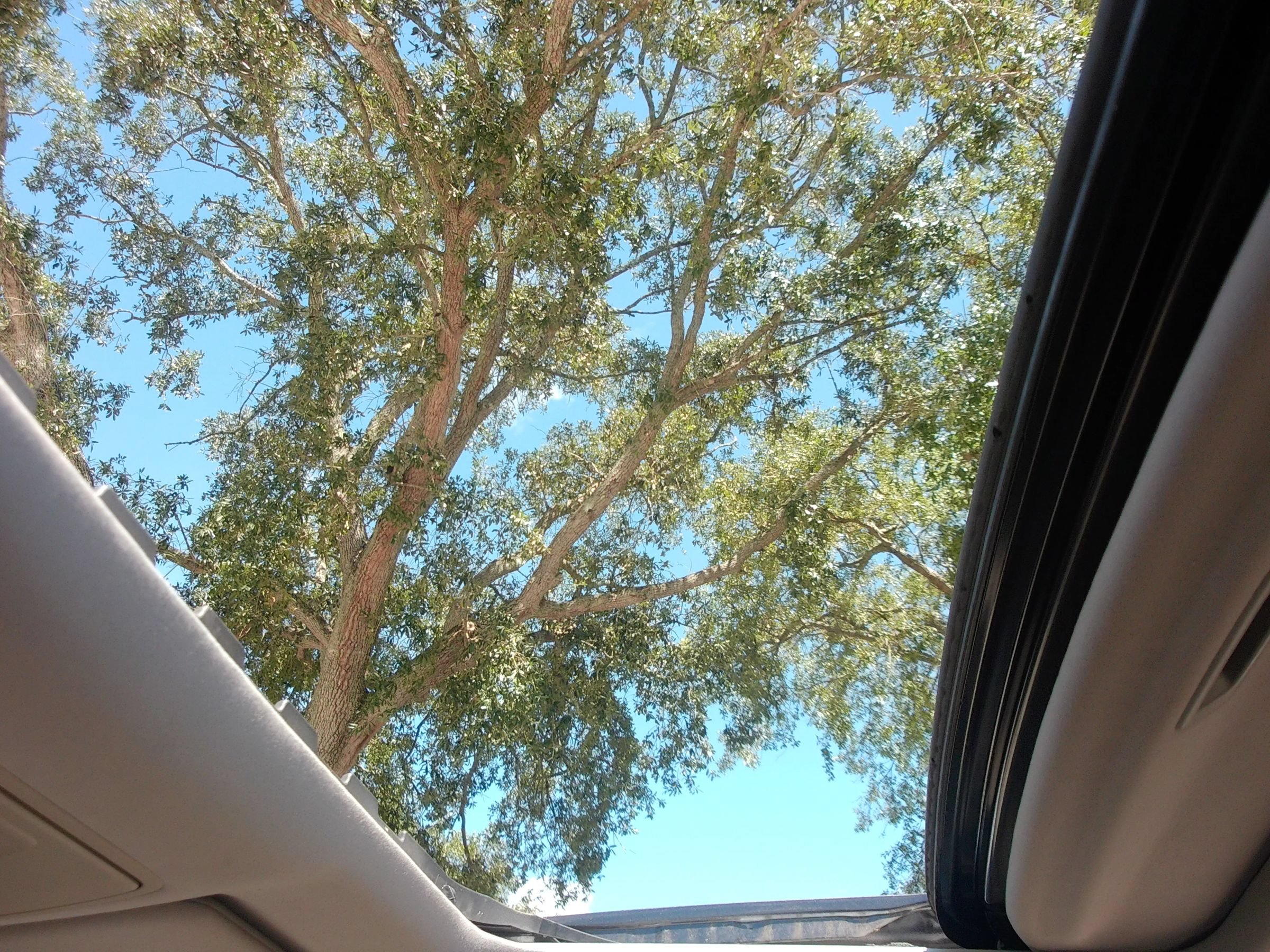 Used 2014 Acura RLX FWD image 23