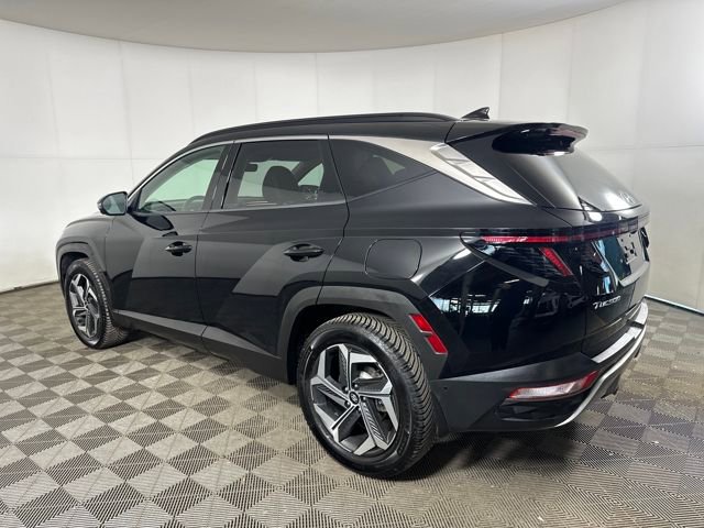 Used 2022 Hyundai Tucson Limited image 5