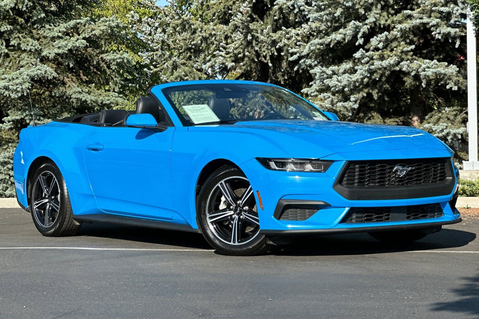 Used 2024 Ford Mustang Premium image 2