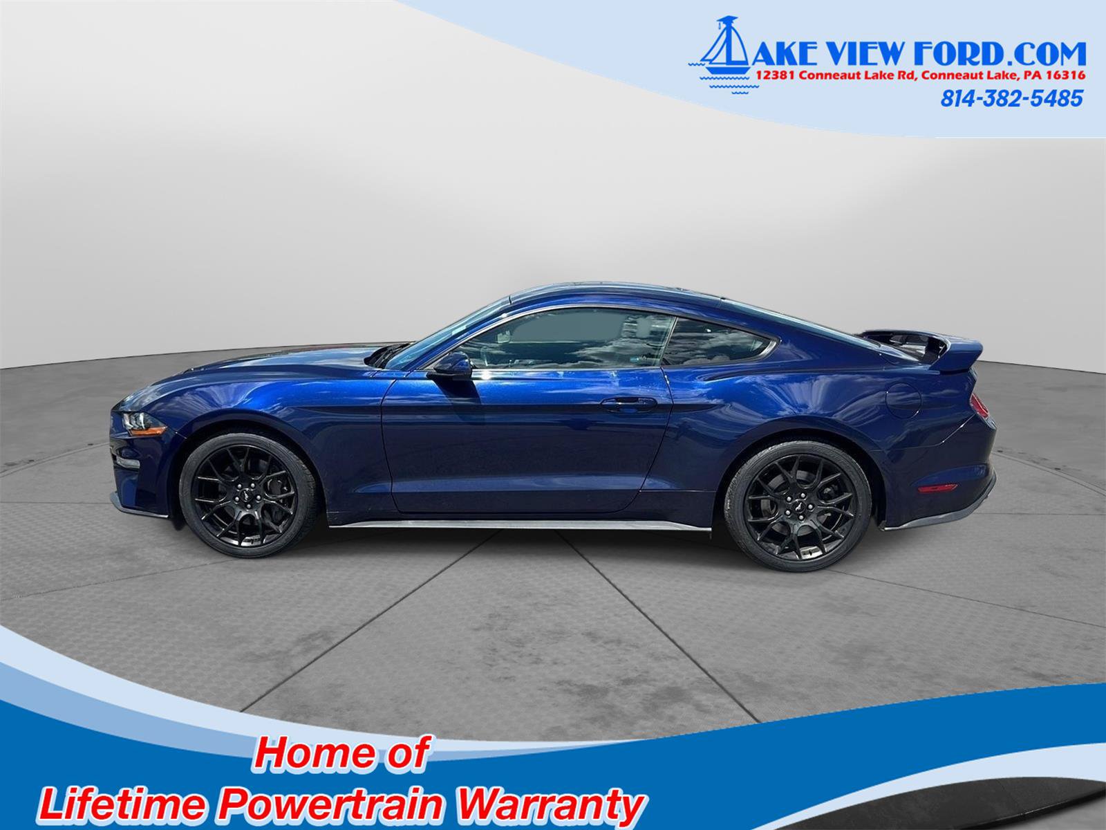 Used 2018 Ford Mustang Premium w/ Ecoboost Performance Package RWD image 5