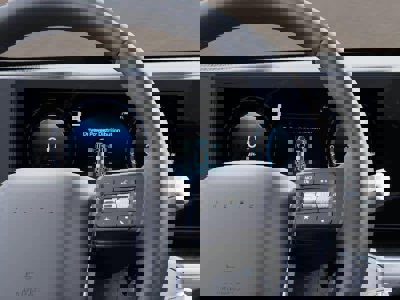 New 2026 Hyundai Ioniq 9 SE image 14