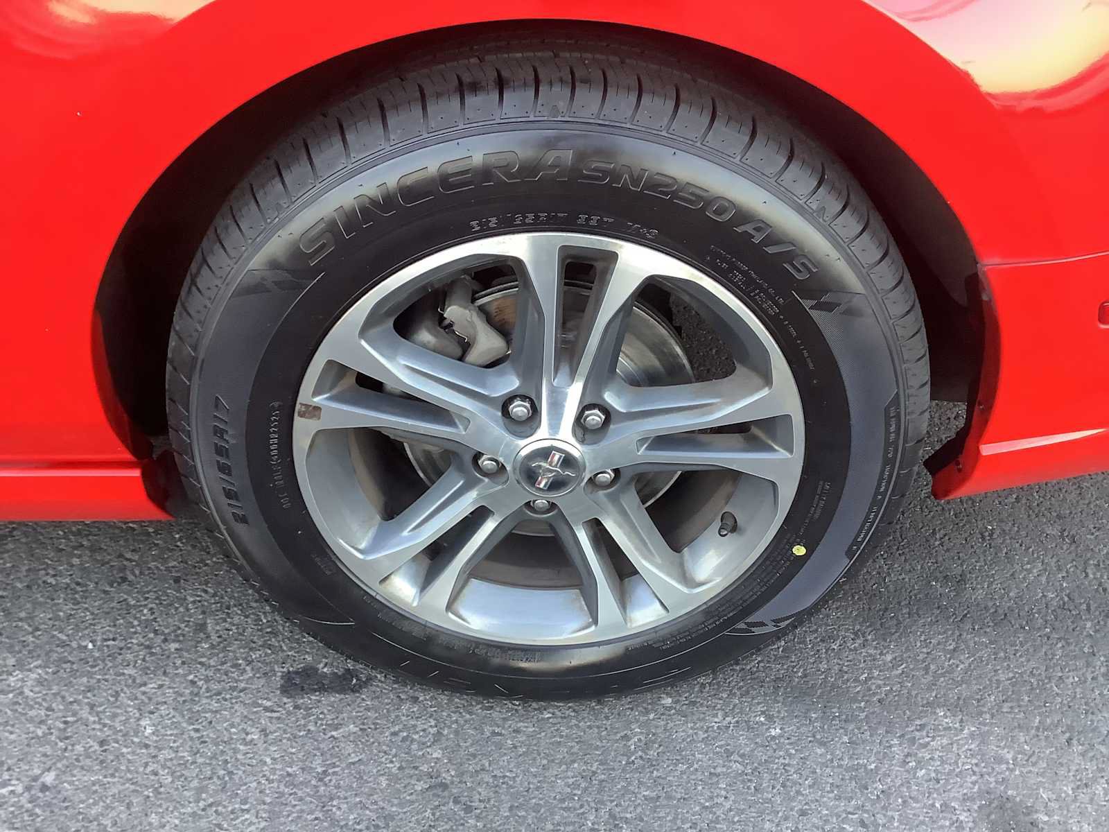 Used 2014 Ford Mustang Premium w/ Equipment Group 201A RWD image 7
