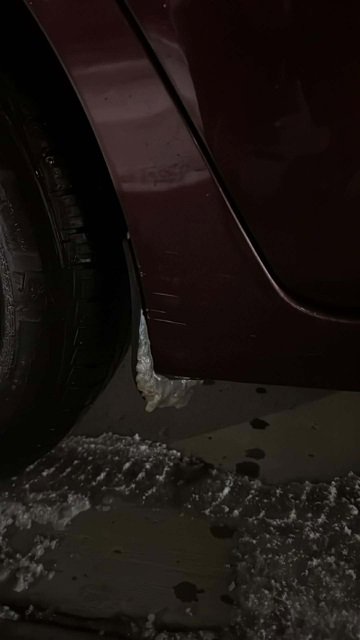 Used 2023 Nissan Sentra SV w/ Trunk Package image 4