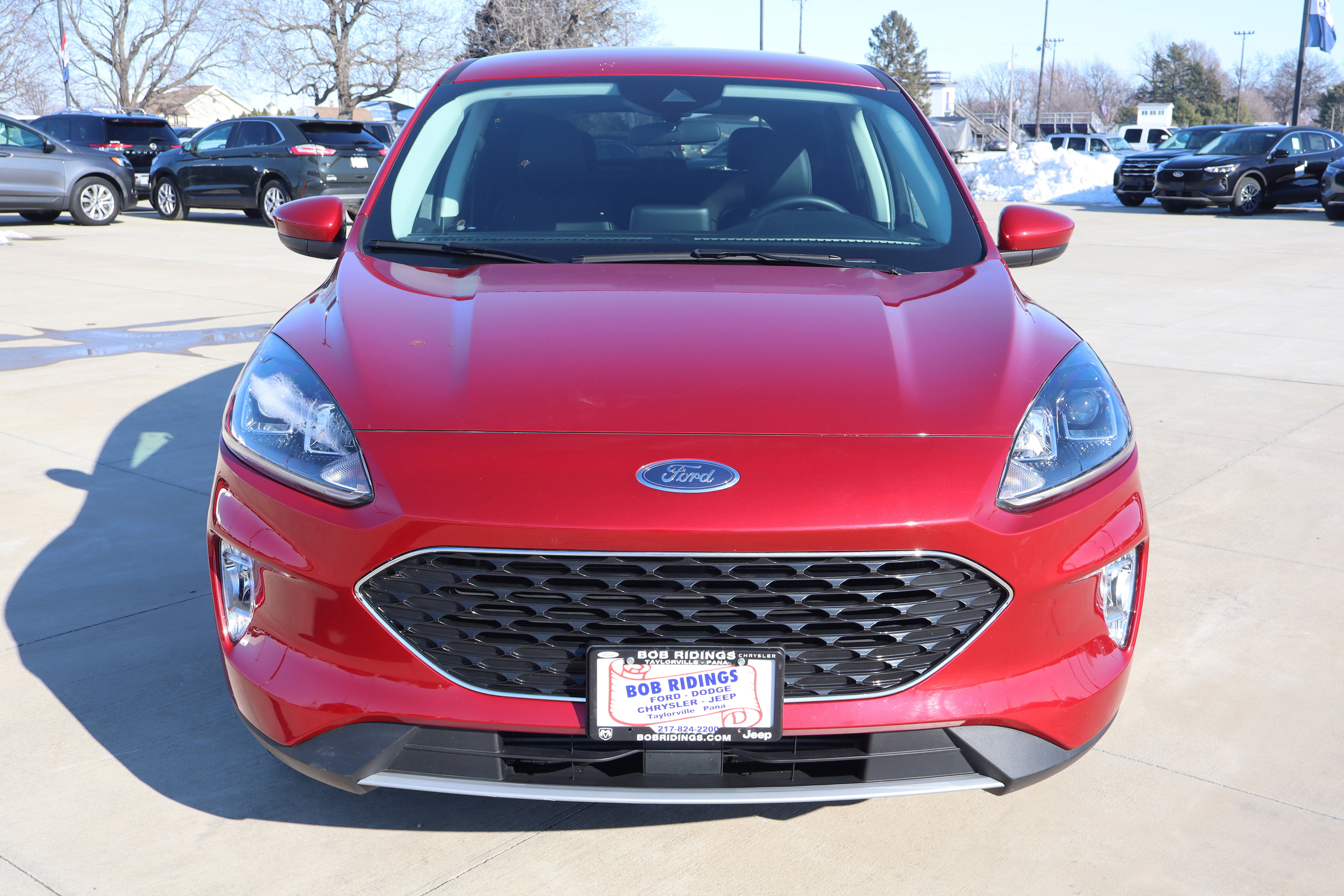 Used 2022 Ford Escape SEL image 3