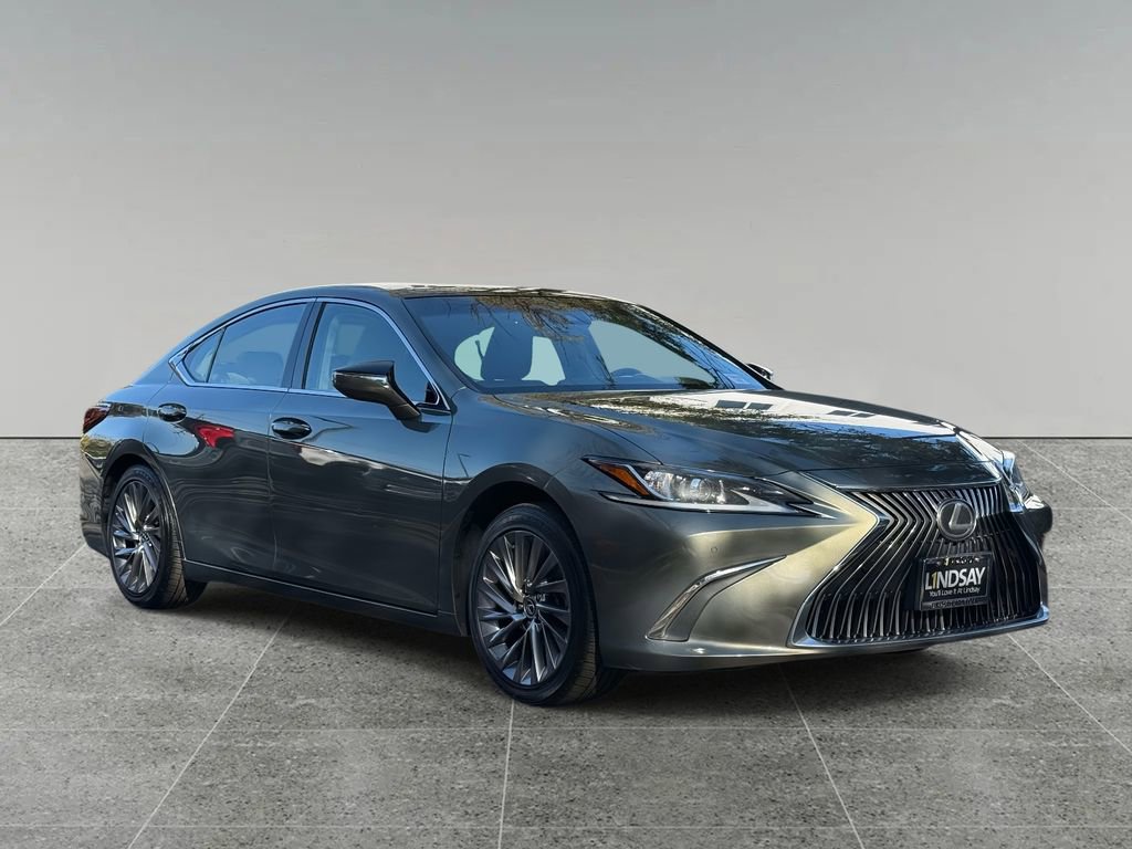 Used 2019 Lexus ES 350 350 Luxury w/ Accessory Package image 9