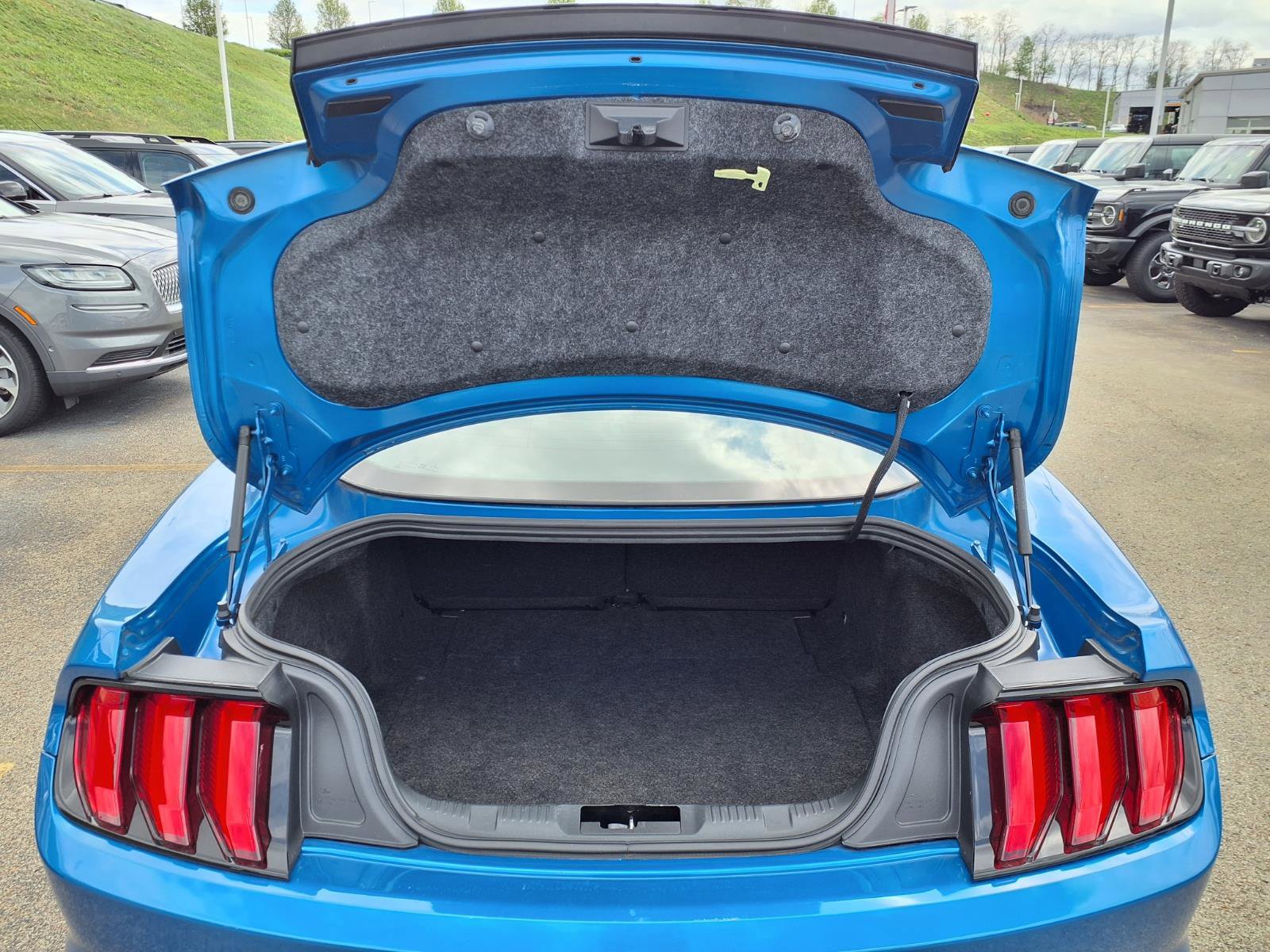 Certified 2019 Ford Mustang Premium w/ Equipment Group 201A image 10