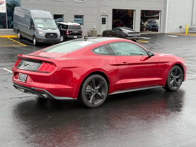 Used 2023 Ford Mustang Coupe w/ Equipment Group 101A image 3