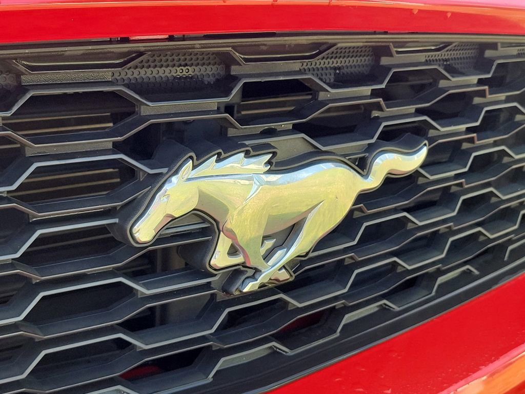 Used 2017 Ford Mustang Premium w/ Wheel & Stripe Package RWD image 5