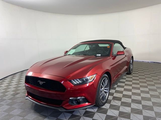 Used 2015 Ford Mustang Premium w/ Equipment Group 201A RWD image 5