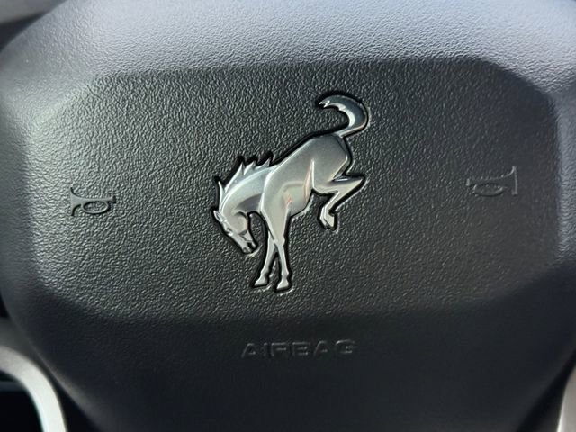 Used 2024 Ford Bronco Big Bend AWD/4WD image 5