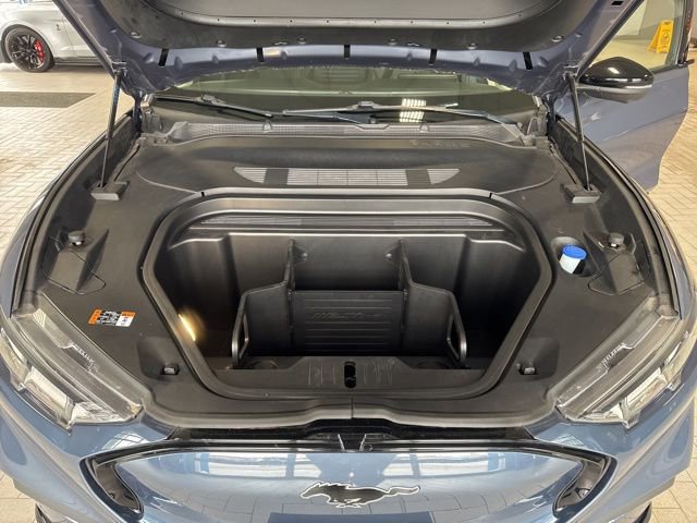 Certified 2021 Ford Mustang Mach-E Premium image 3