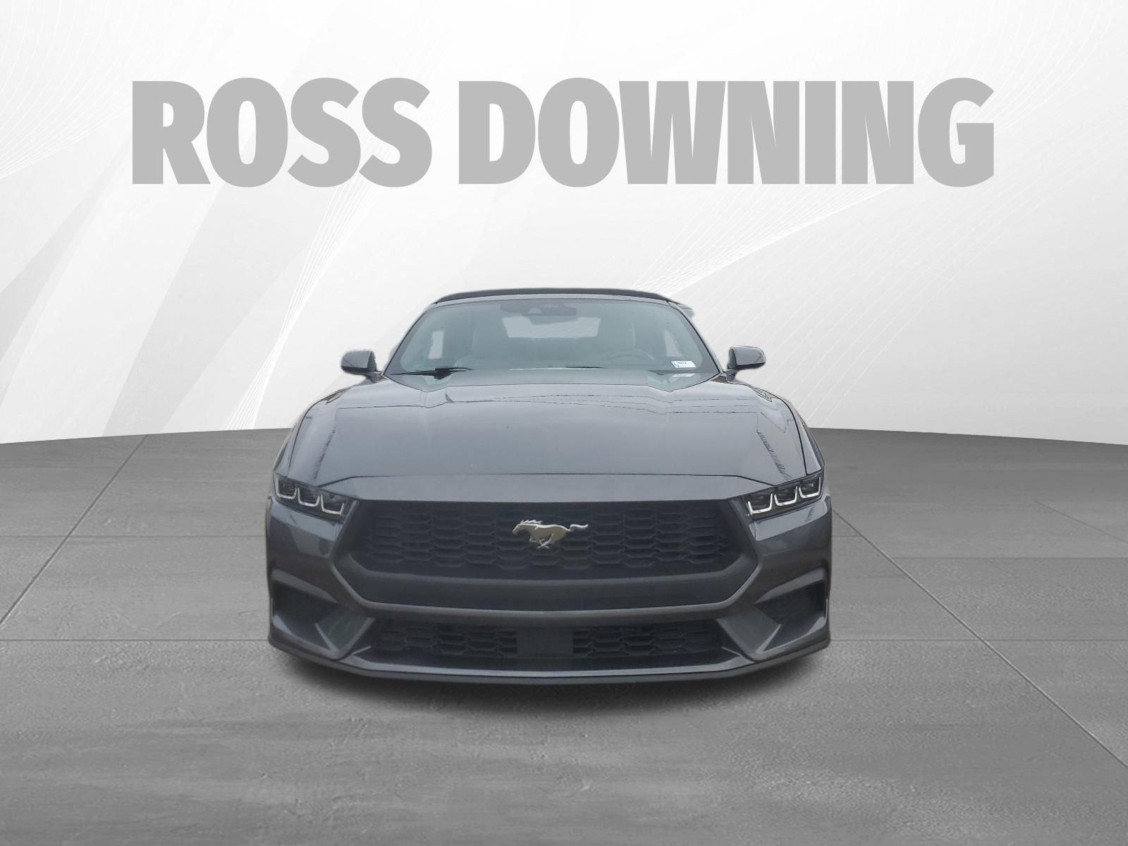 Used 2024 Ford Mustang Premium image 3