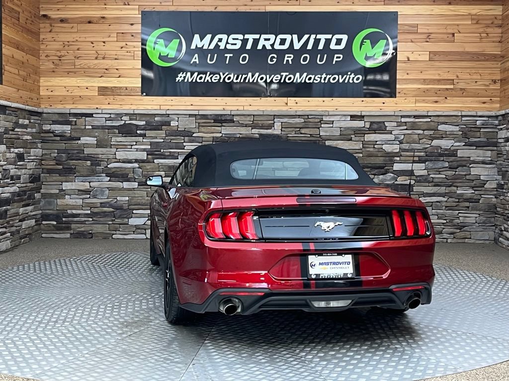 Used 2019 Ford Mustang Convertible w/ Equipment Group 101A RWD image 18