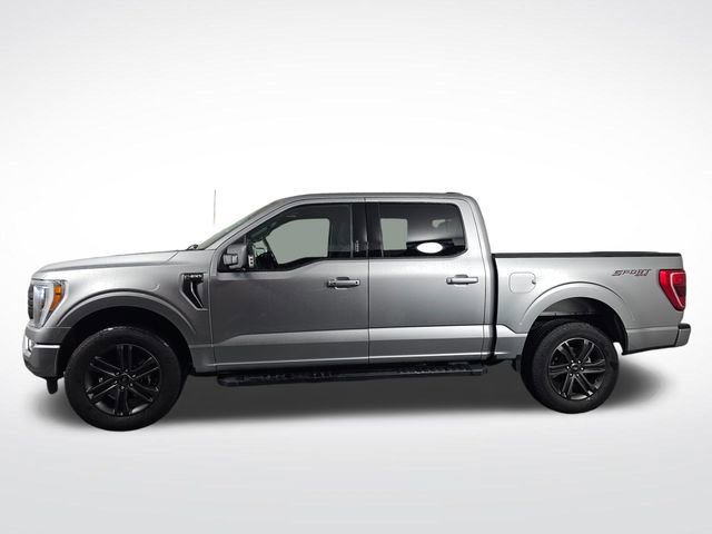 Used 2022 Ford F150 XLT w/ Equipment Group 302A High image 4