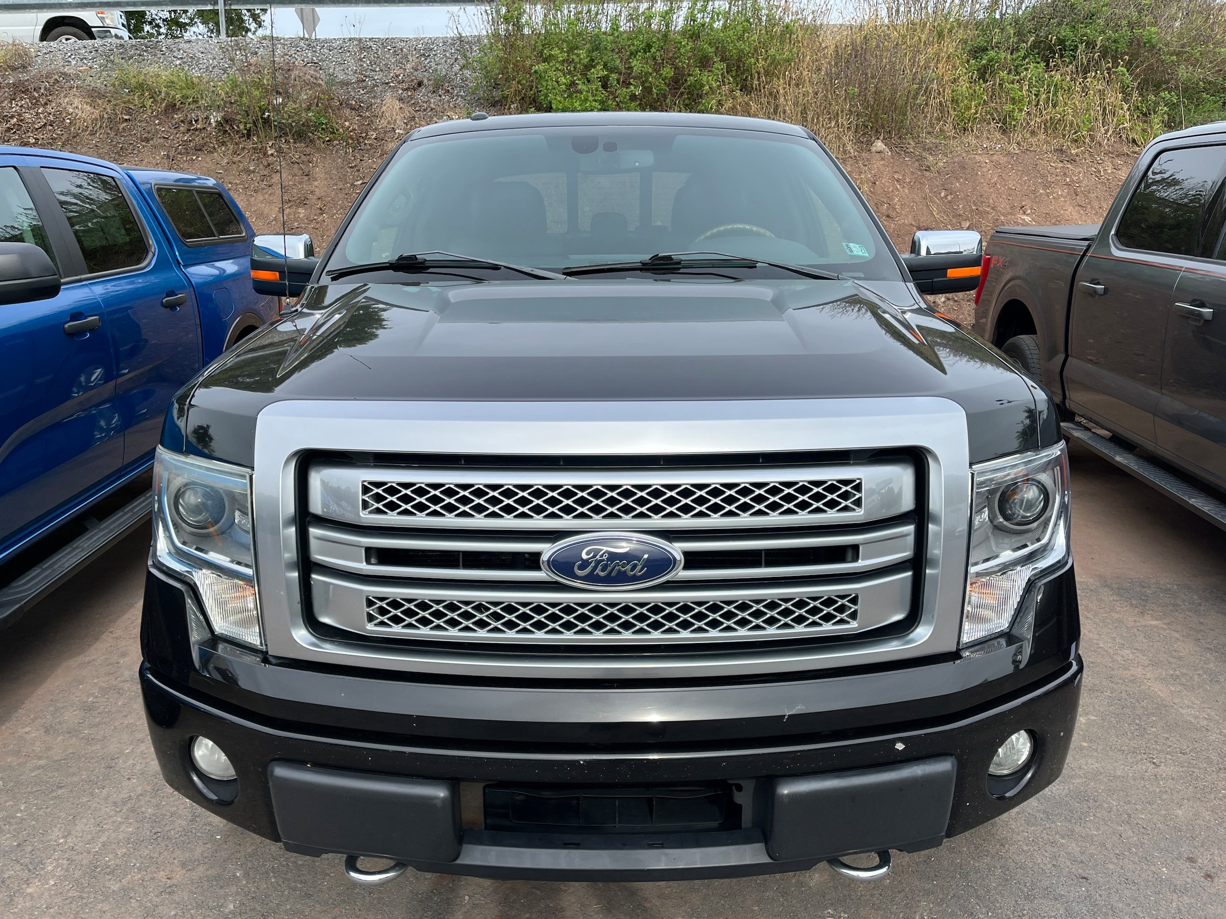 Used 2013 Ford F150 Platinum AWD/4WD image 3
