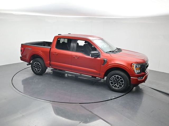 Used 2023 Ford F150 XLT w/ Equipment Group 302A High AWD/4WD image 38
