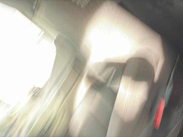 Certified 2021 Ford Transit 250 Low Roof w/ Exterior Upgrade Package image 14