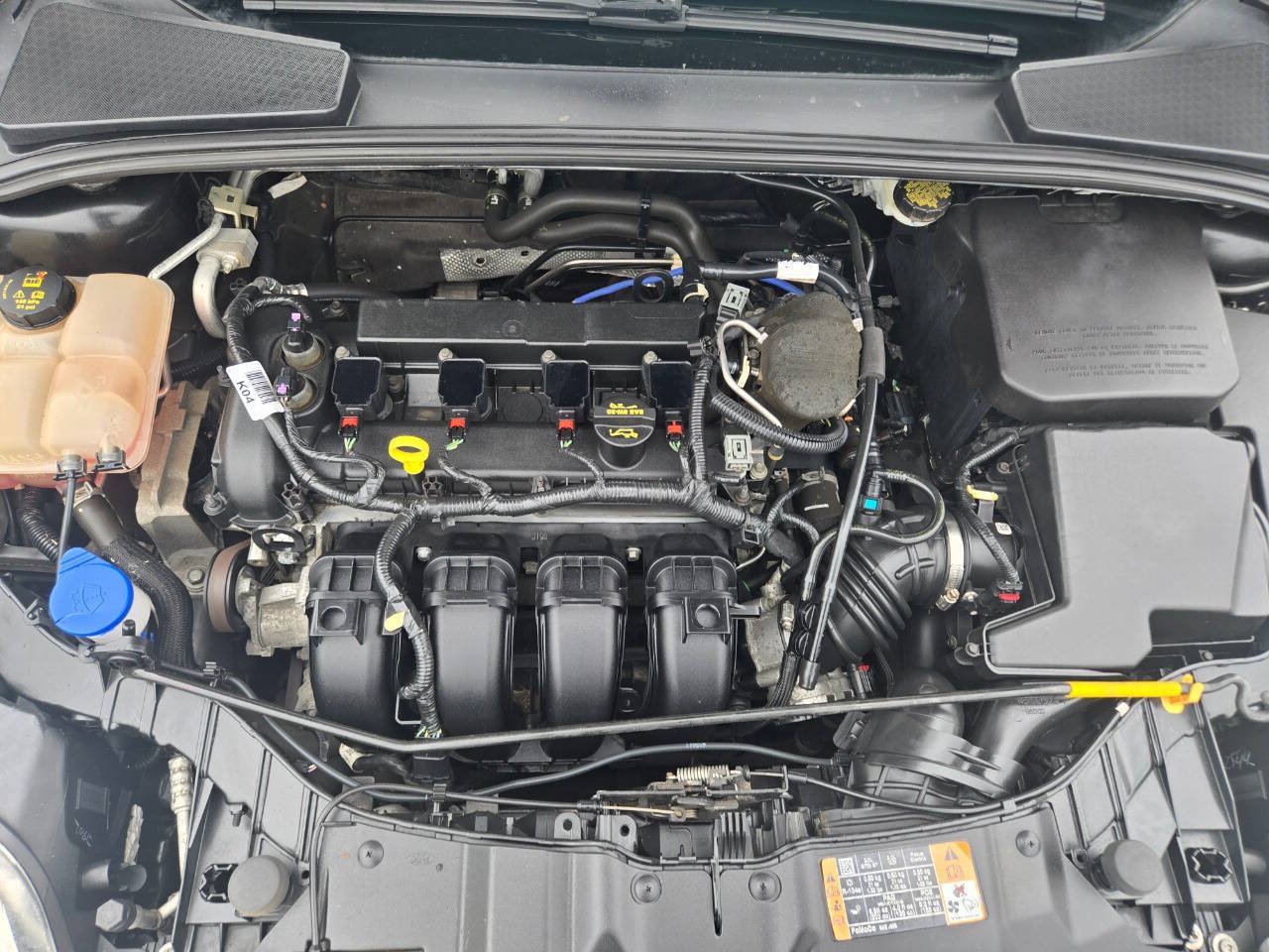 Used 2014 Ford Focus SE w/ SE Winter Package FWD image 28