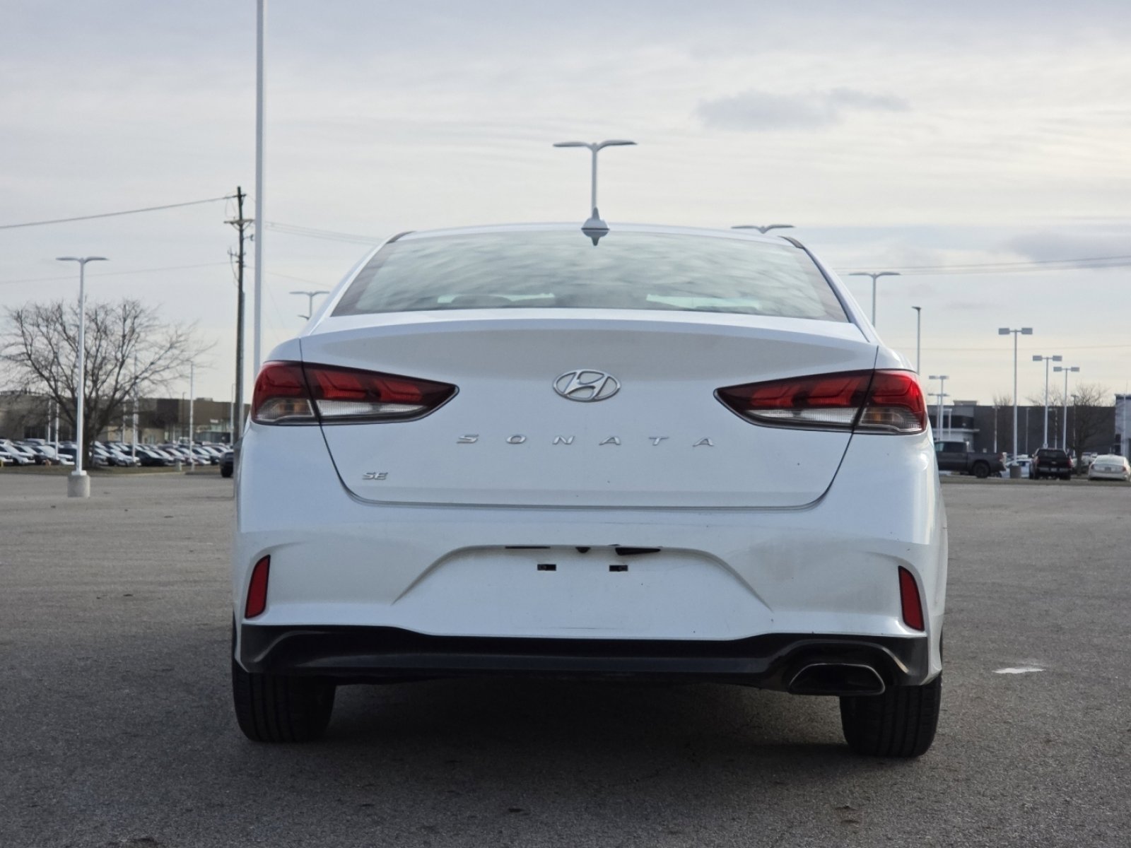 Used 2019 Hyundai Sonata SE image 13