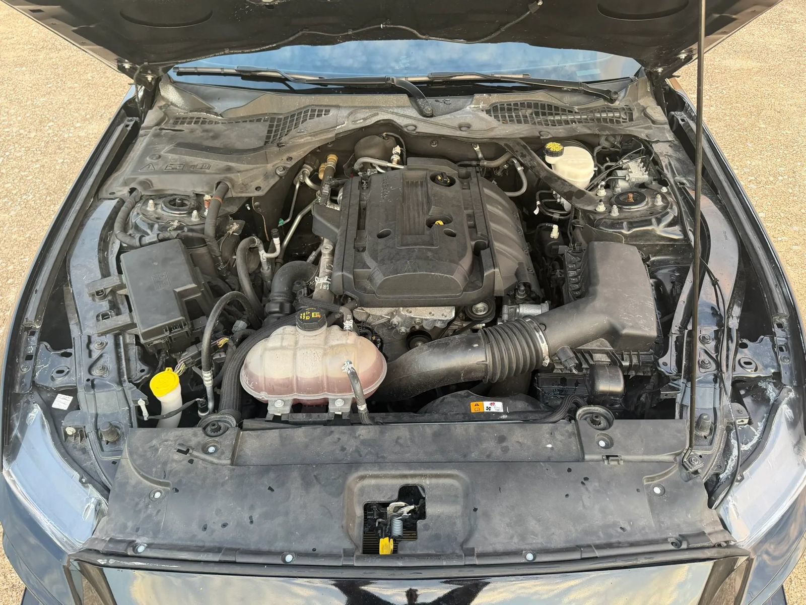 Used 2016 Ford Mustang Premium w/ Ecoboost Performance Package RWD image 33