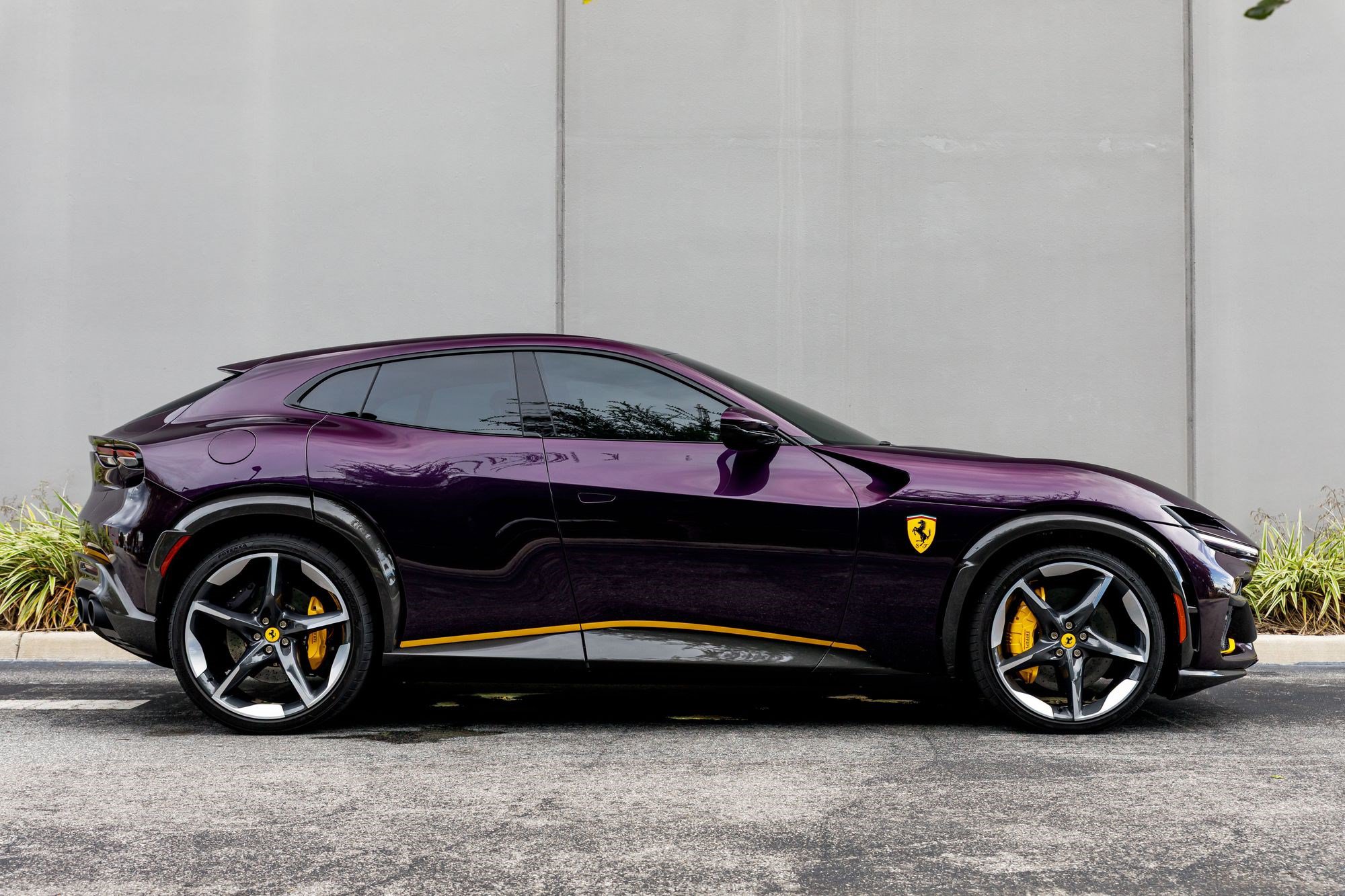 Used 2024 Ferrari Purosangue AWD/4WD image 6