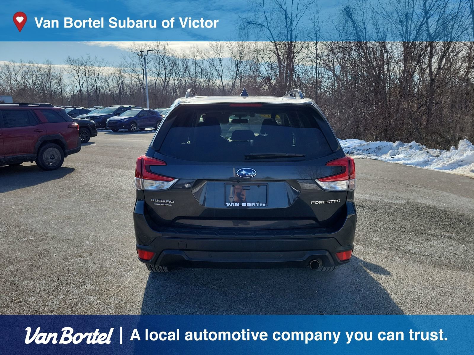 Used 2019 Subaru Forester Limited image 4