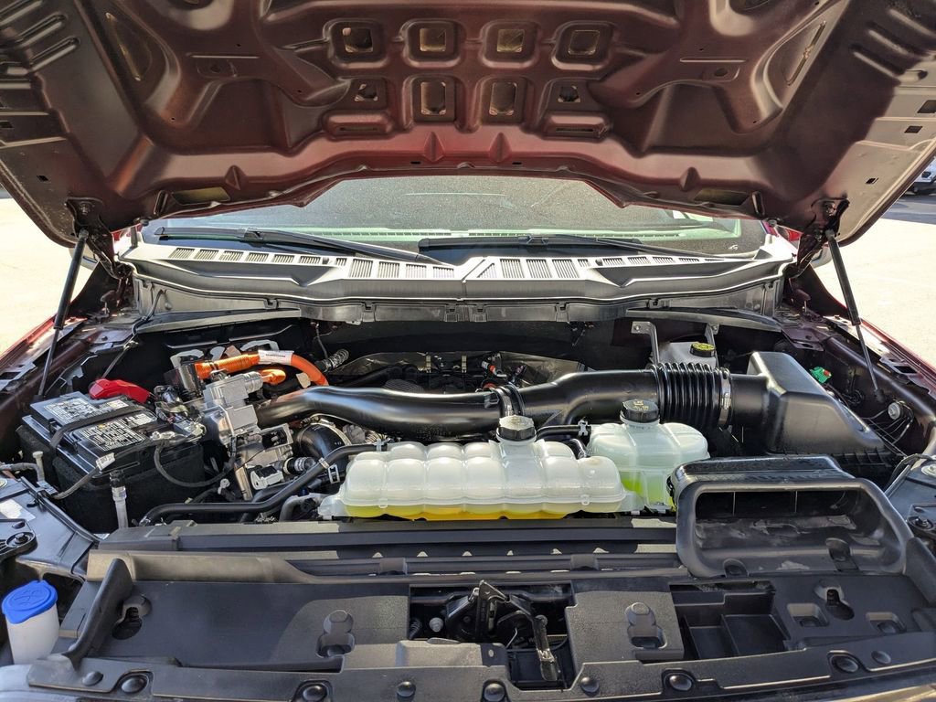 Used 2025 Ford F150 XLT w/ Equipment Group 301A Standard image 23