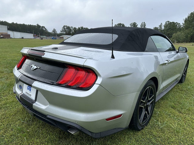 Used 2019 Ford Mustang Premium RWD image 8