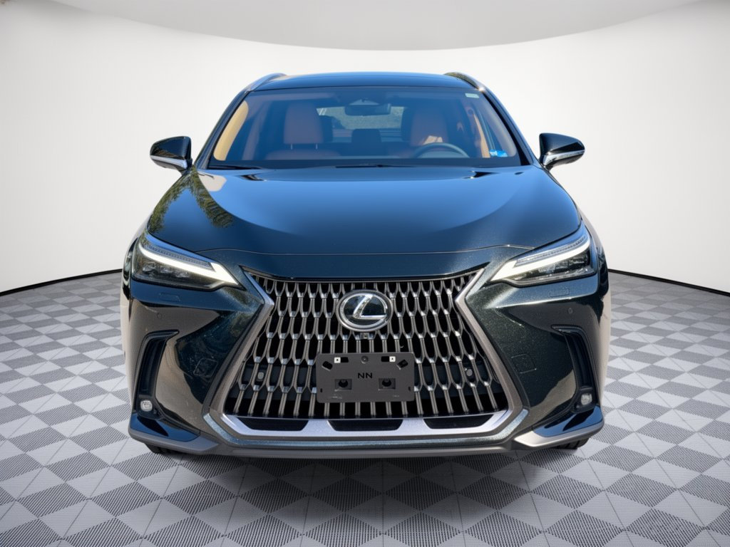 Used 2025 Lexus NX 350h AWD w/ Rear Seat Package image 6