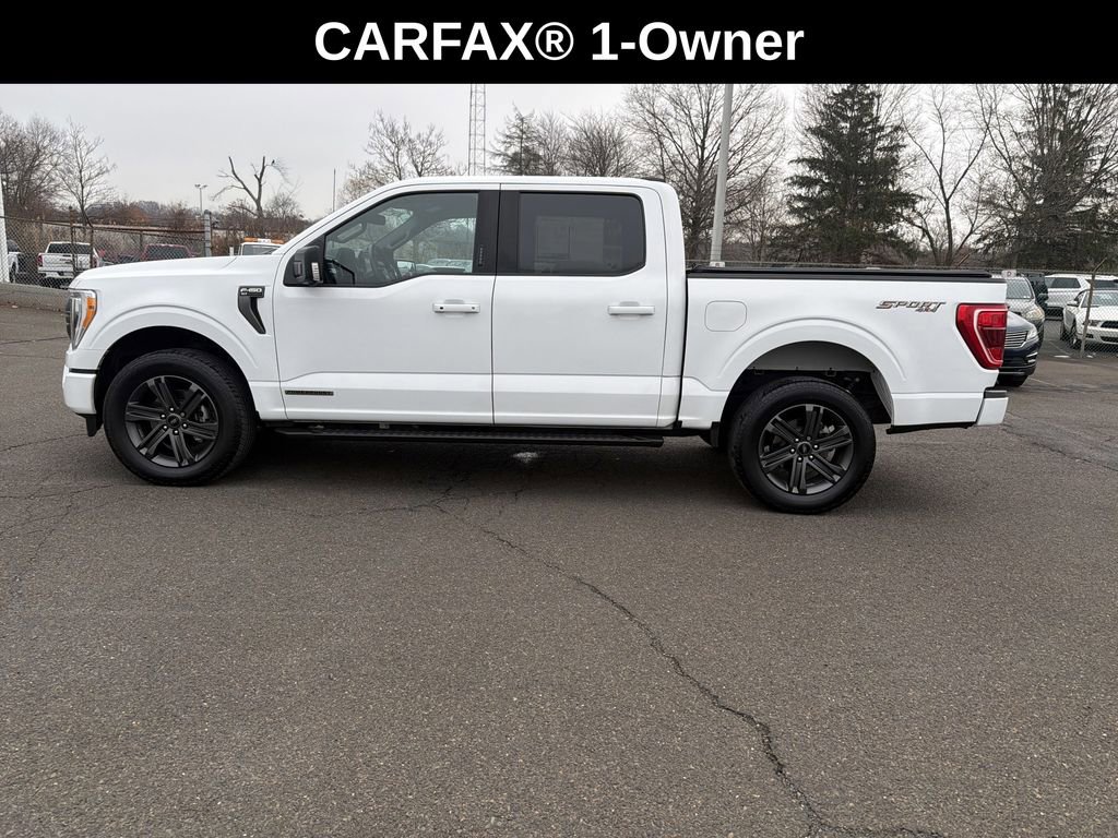 Used 2023 Ford F150 XLT w/ Equipment Group 302A High image 2