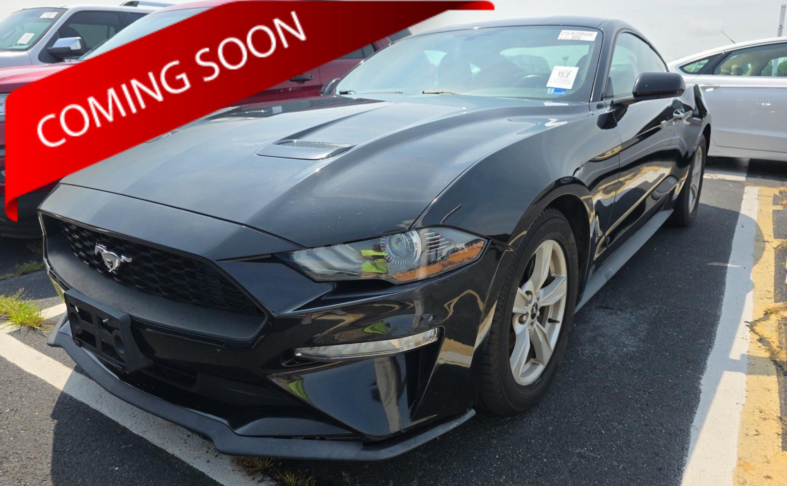 Used 2020 Ford Mustang Coupe RWD image 1