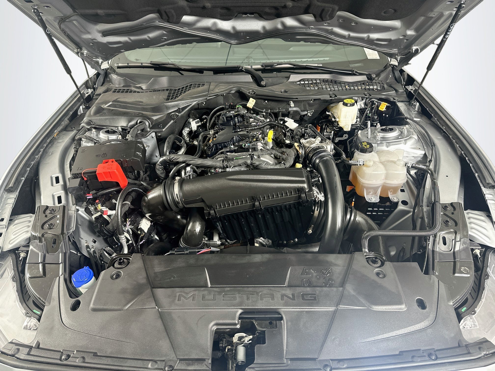 Used 2025 Ford Mustang Premium RWD image 29
