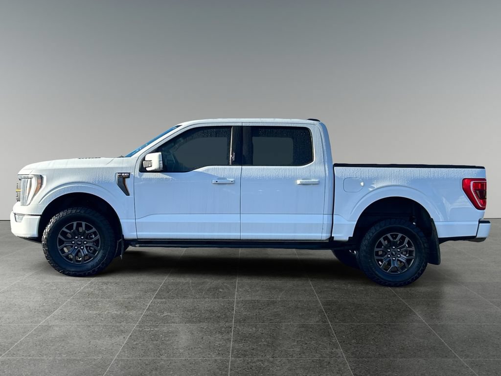 Used 2023 Ford F150 Tremor AWD/4WD image 5